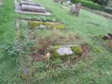 image of grave number 527569